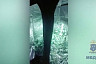 На даче саратовца обнаружили парник с коноплей